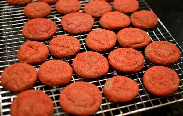 Cocoa Snickerdoodles