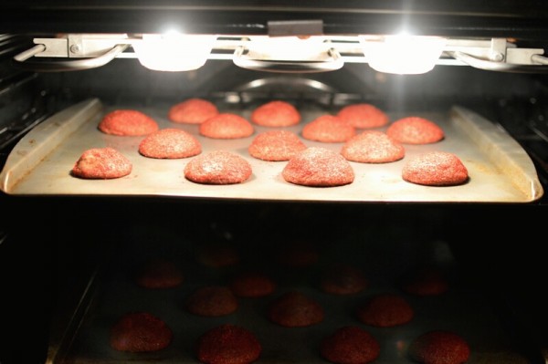 Cocoa Snickerdoodles