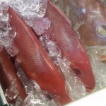 Vermilion Snapper for the Mustard-Roasted Fish Recipe