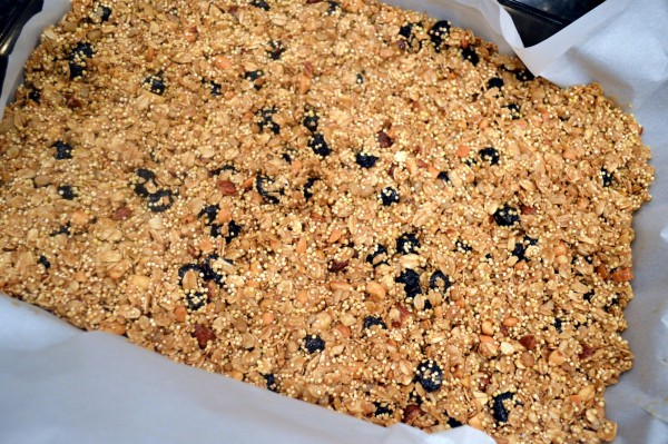 Blueberry Quinoa Breakfast Bars | That Square Plate