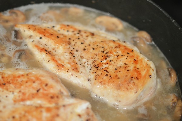 Chicken and Mushroom Fricassee | That Square Plate