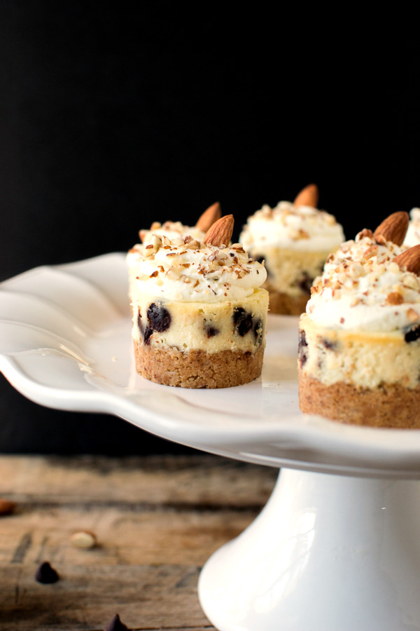 Almond Chocolate Chip Mini Cheesecakes