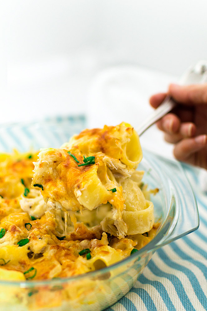 Calamarata pasta with a creamy cheesy sauce including Gruyere, sharp cheddar, pepper jack, and Parmesan. PLUS, there's crab in there!