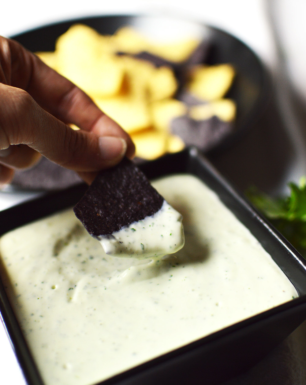 Chuy's Creamy Jalapeno Dip - That Square Plate